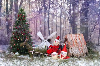 Interešu izglītība