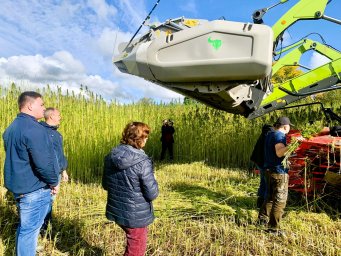 Kaņepju novākšanas paraugdemonstrējumi Klonešnīkos Kaņepju novākšanas paraugdemonstrējumi Klonešnīkos