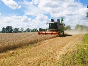 Graudaugu novākšanas laiks Graudaugu novākšanas laiks
