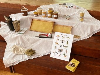 Par un ap bitēm Par un ap bitēm