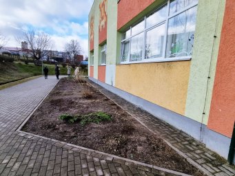 Pētniecības projekts augkopībā Pētniecības projekts augkopībā