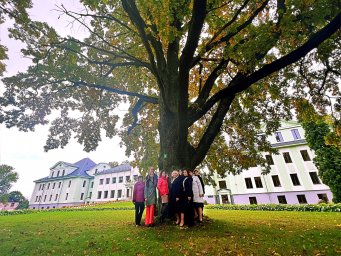 Trīs vareni ozoli - trīs pārliecinoši virzieni! Trīs vareni ozoli - trīs pārliecinoši virzieni!