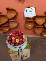 „Labo darbu nedēļa 2024” „Labo darbu nedēļa 2024”