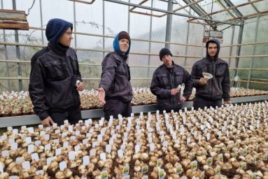 Lauksaimniecības un augkopības izglītības programmu jaunieši piedalās mobilitātē Dānijā Lauksaimniecības un augkopības izglītības programmu jaunieši piedalās mobilitātē Dānijā